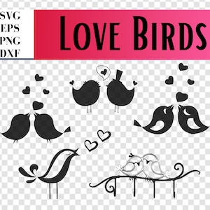 Arquivo Love Birds, arquivos digitais para download, arquivos SVG, eps, dxf, png incluídos. Bird SVG, arquivos de silhueta, scrapbooking, dia dos namorados