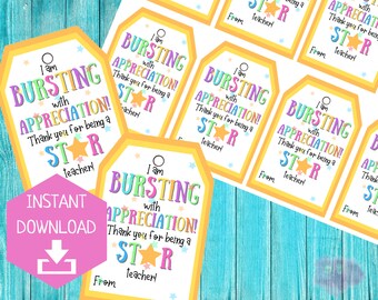 Op de afbeelding: Cadeaulabels met een gele rand en de tekst "I am BURSTING with APPRECIATION! Thank you for being a STAR teacher!" in kleurrijke letters. Een roze zeshoek met "INSTANT DOWNLOAD" staat linksonder.