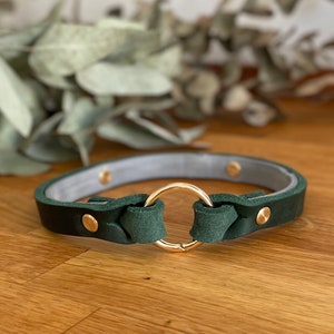 Cover-up for tick collar 15 mm wide greased leather brand collar, with braiding hide tick band image 2