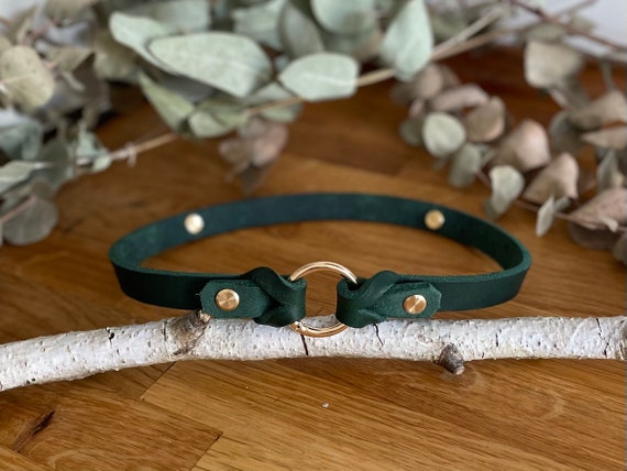 Cover-up for Tick Collar - 15 Mm Wide Oiled Leather Brand Collar, With  Braiding - Conceal Seresto Band - Seresto Scalibor - Etsy Australia