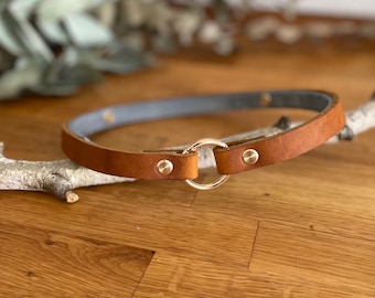 Cover-up für Zeckenhalsband - 15 mm breites Fettleder Markenhalsband, schlicht / minimalistisch - Serestoband verstecken - Seresto Scalibor