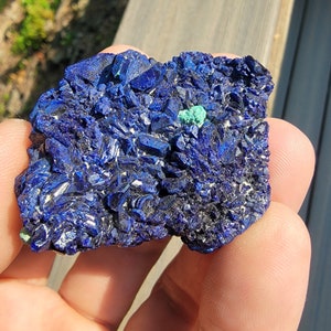Azurite - well formed crystals  with tiny spot of Malachite - Santa Rosa Mine, Zacatecas - Mexico