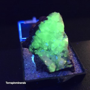 May include: A fluorescent green mineral specimen, possibly fluorite, glows brightly under a blue light. The mineral is set in a small, dark box. The text "Terrapinminerals" is visible in the lower left corner.