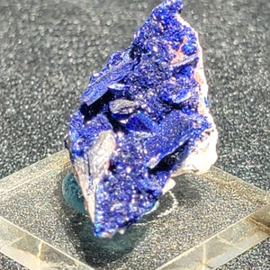 Azurite Crystals - Some fine 10mm single crystals on this gorgeous almost thumbnail