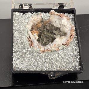 May include: A geode specimen with a hollow center filled with dark, needle-like crystals. The geode's outer shell is a mix of white, tan, and light green colors, encased in a black display box with a clear lid. The text "Terrapin Minerals" is visible.