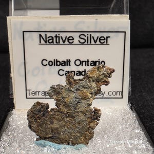 May include: A specimen of Native Silver from Cobalt, Ontario, Canada. The mineral has a textured, metallic appearance with shades of brown and gray. The specimen is displayed in a clear case with a label that reads "Native Silver".