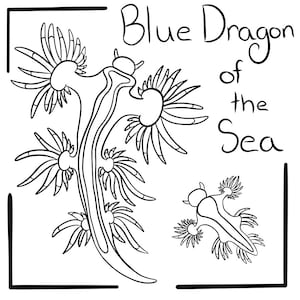 Blue Dragon of The Sea Printable Coloring Page