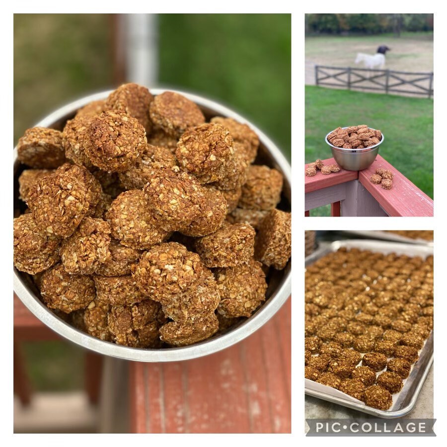 Cider Wafer Horse Treats Etsy