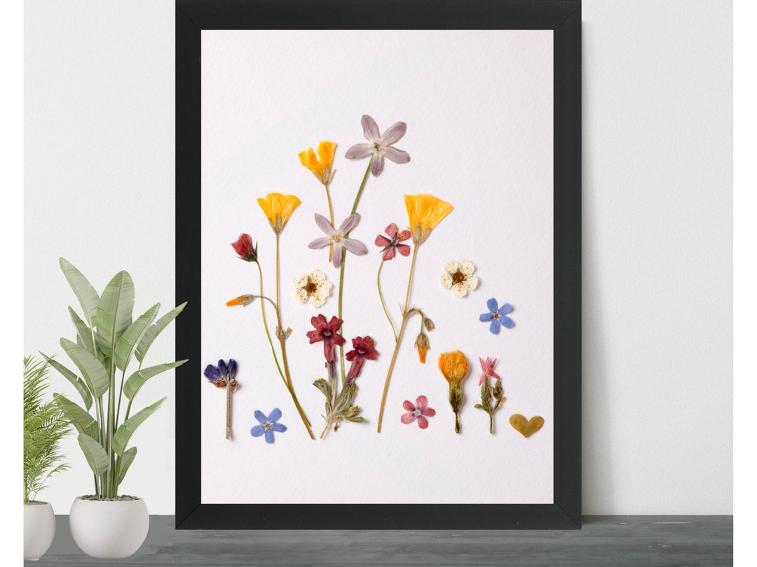 Dried Pressed Flowers Wall Art, Pressed Flowers Poster, Dry Pressed