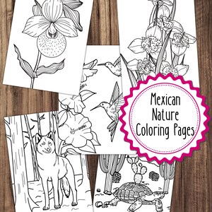 16 Mexican Nature Coloring Pages, Mexico Nature Coloring Pages Bundle, Adult Coloring Book, Kids Coloring Book, Mexico Coloring Pages