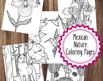 16 Mexican Nature Coloring Pages, Mexico Nature Coloring Pages Bundle, Adult Coloring Book, Kids Coloring Book, Mexico Coloring Pages