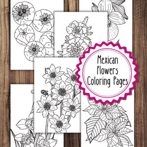 6 Mexican Flowers Coloring Pages, Mexico Nature Coloring Pages Bundle, Adult Coloring Book, Kids Coloring Book, Mexico Coloring Pages