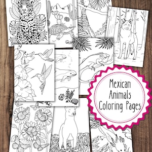 10 Mexican Animals Coloring Pages, Mexico Nature Coloring Pages Bundle, Adult Coloring Book, Kids Coloring Book, Mexico Coloring Pages