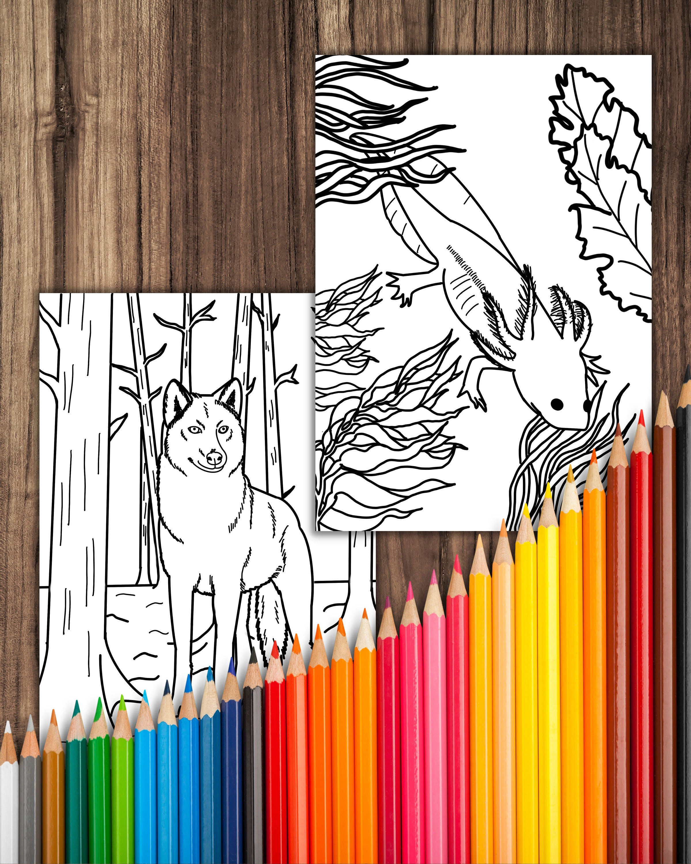 10 Mexican Animals Coloring Pages, Mexico Nature Coloring Pages Bundle ...