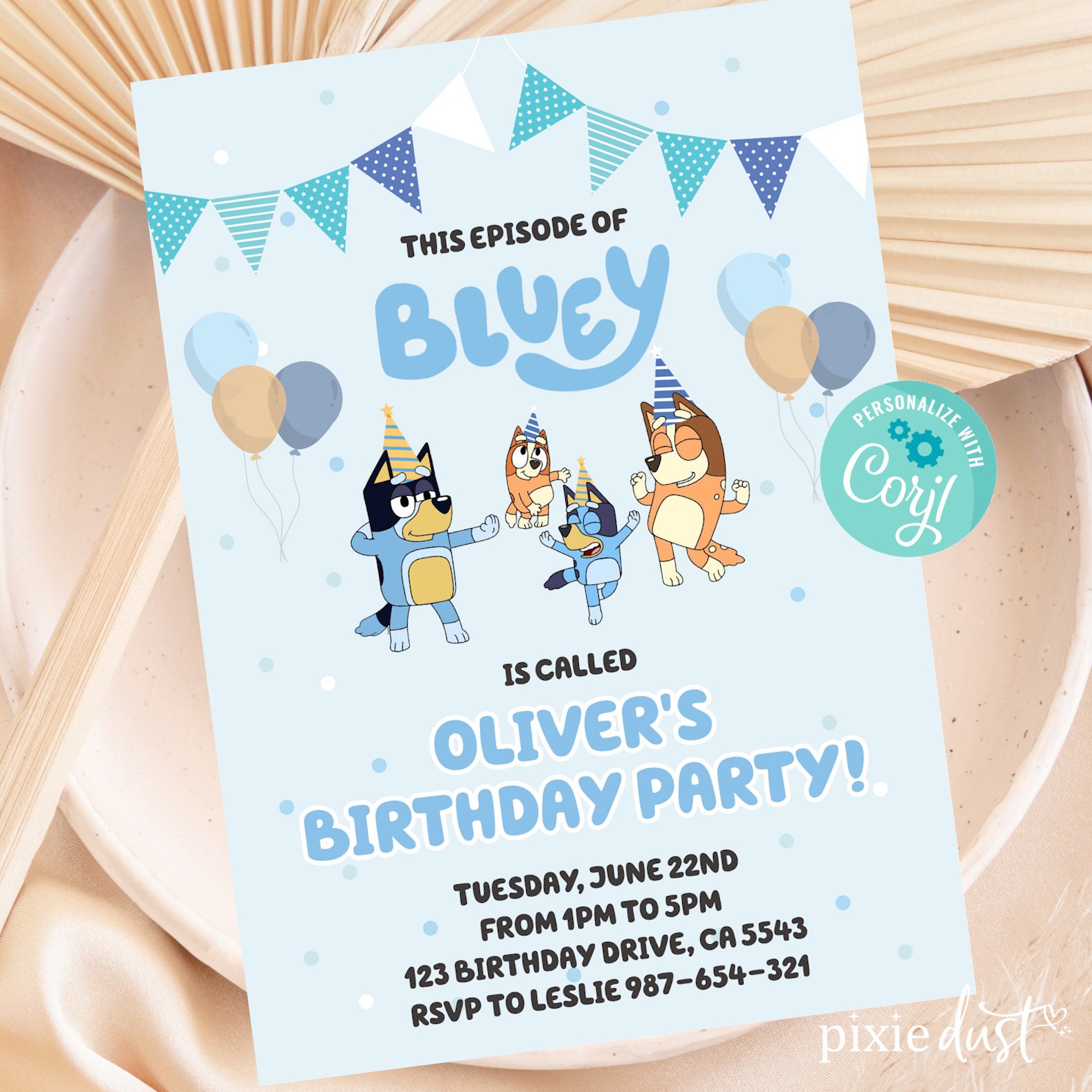 Bluey Birthday Party Supplies: Tableware and Decorations 