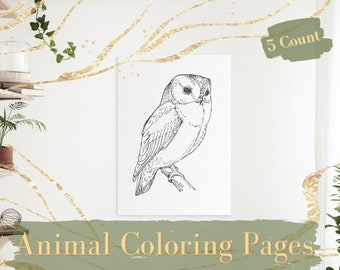 Adult Coloring Pages for Adults (or kids!)