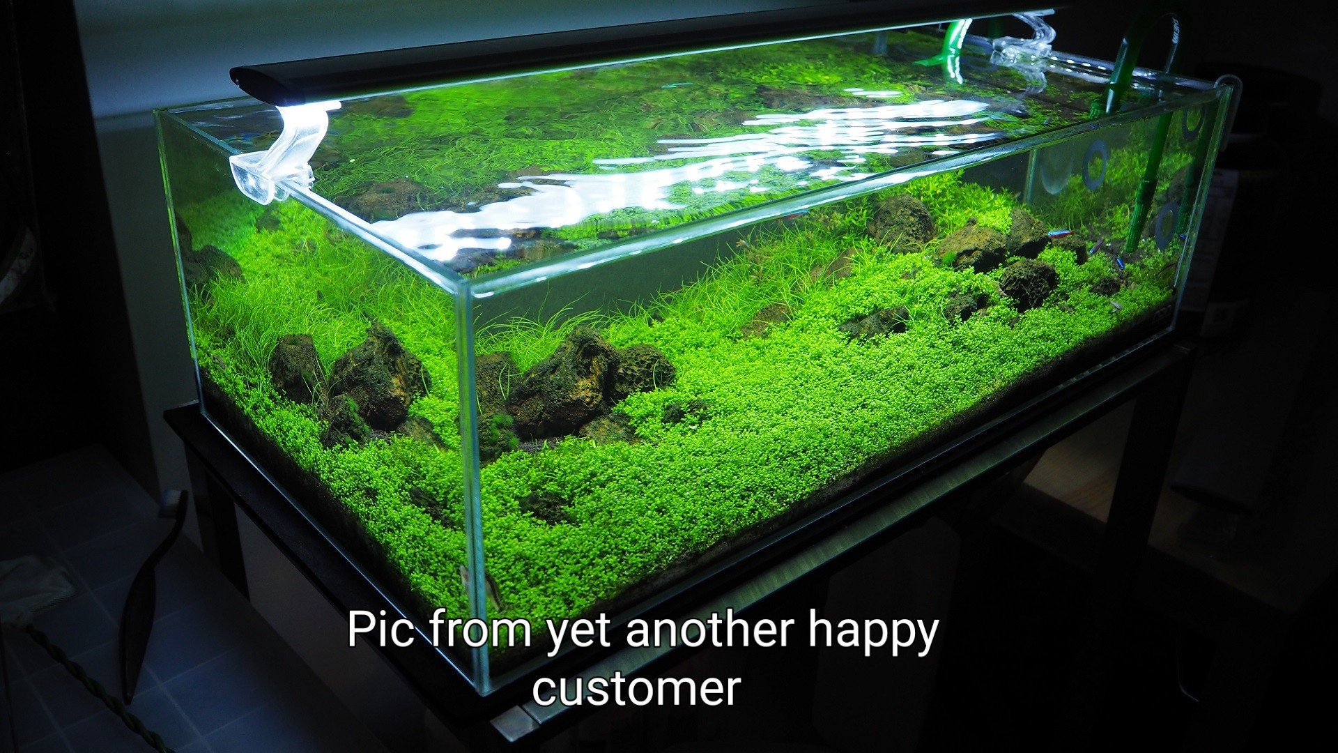 500g Aquarium Plant Seed Soil Fish Tank Accessories Decoration Aquatic Grass  Mud