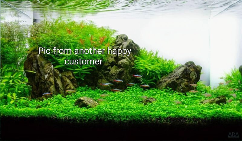 nwejron No Need to Clean Water Grass Mud, Aquarium Accessory, Simple to Use Not Easy to Decompose for Planting The Water Grass Fish Tank