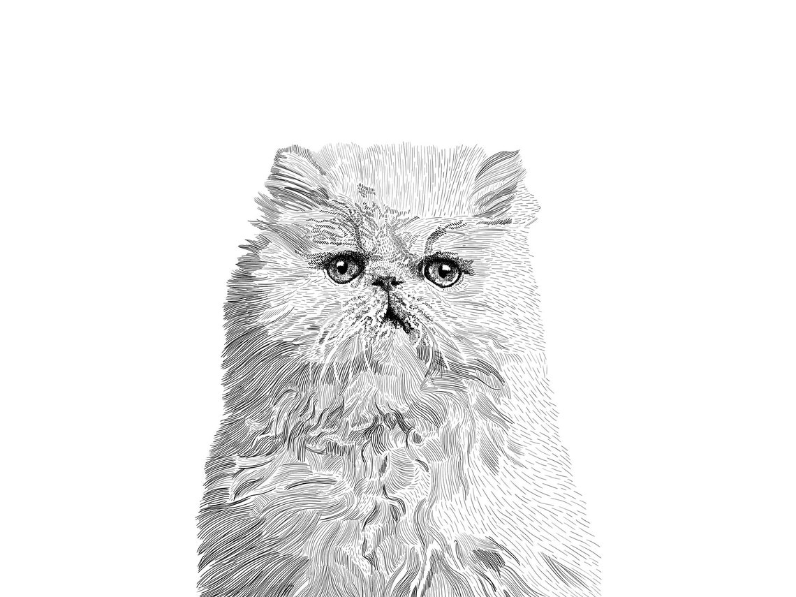 PRINTABLE Cat Illustration Digital Download Files - Etsy