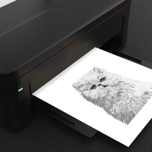 PRINTABLE Cat Illustration Digital Download Files - Etsy