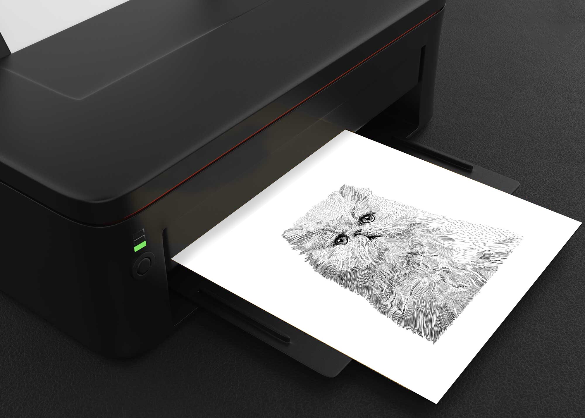 PRINTABLE Cat Illustration Digital Download Files - Etsy