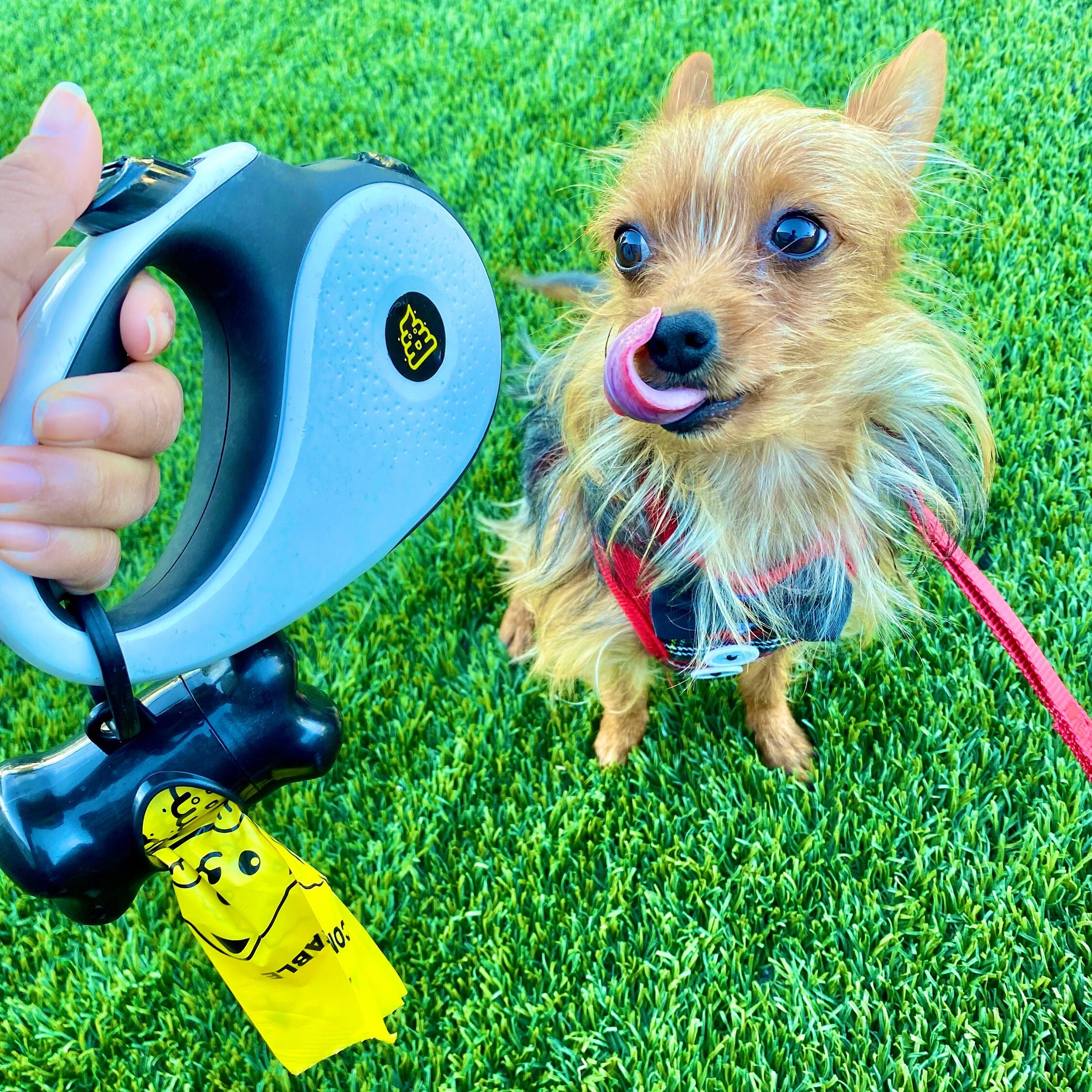 LITTLE POOPS Waste Bags for Dogs, Cats, & Other Small Size Animals