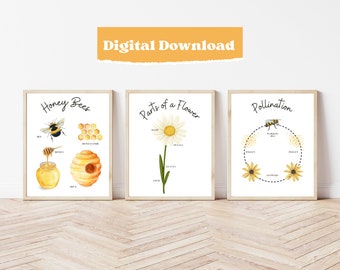 Imprimibles Montessori de abejas: Decoración para el hogar y la guardería (Descarga digital)