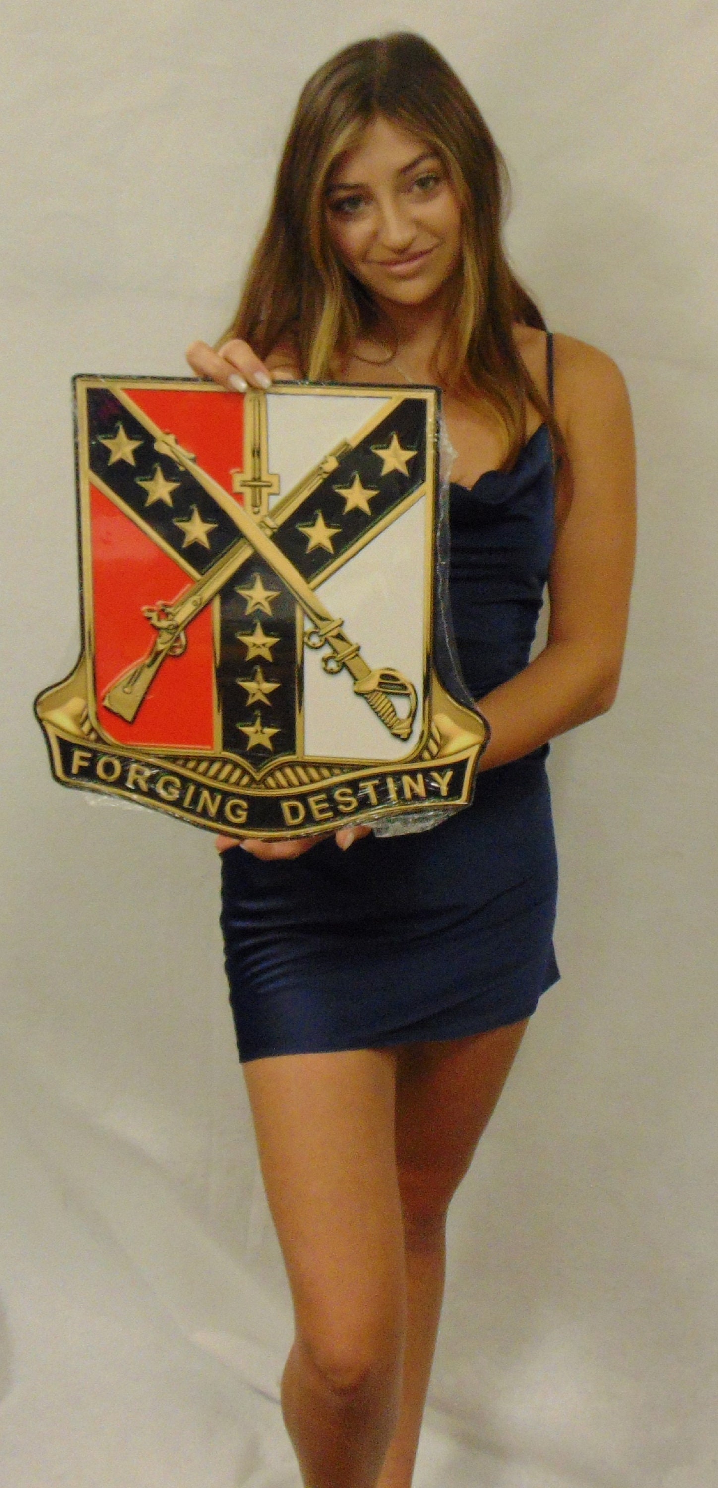 61st Cavalry Regiment all Metal Sign 16 x 15"