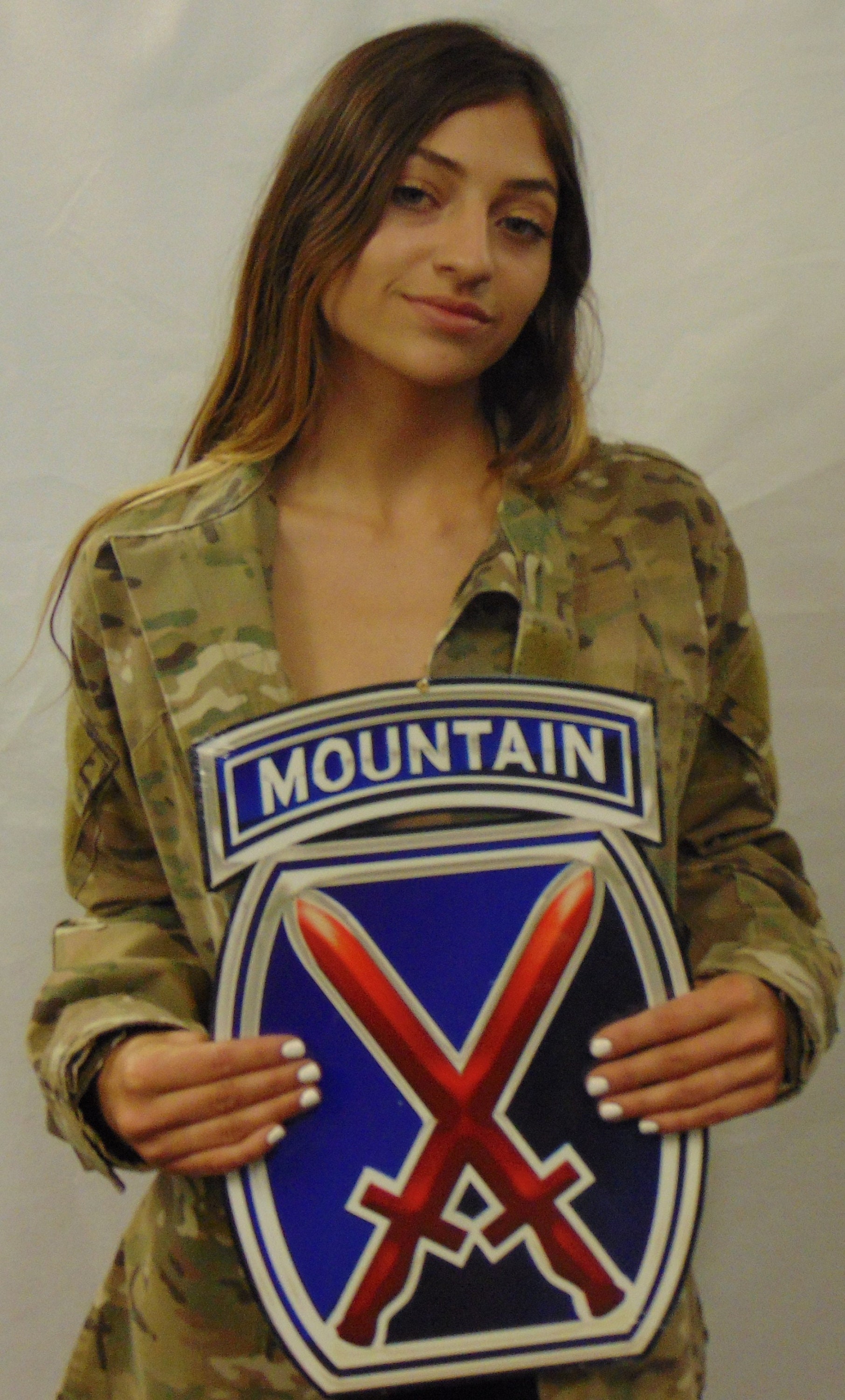 10th Mountain Division (Airborne) Metal Sign 11 x 16"