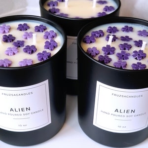 Può includere: Tre barattoli di vetro nero per candele con accenti di fiori viola. Le candele sono etichettate "Alien" e "Cera di soia colata a mano". Ogni candela è da 10 oz.