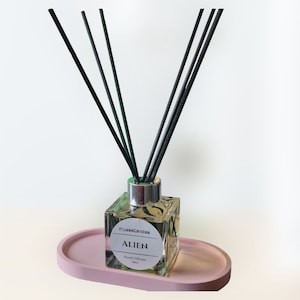 Könnte beinhalten: Eine klare Glasflasche mit schwarzen Diffusorstäbchen und einem Etikett mit der Aufschrift "Fruze&Candles Alien Reed Diffuser 100ml". Die Flasche steht auf einem hellrosa ovalen Tablett.