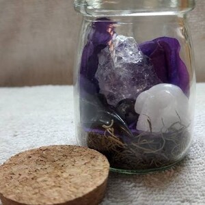 Small Terrarium Jar