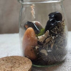 Small Terrarium Jar