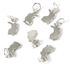 May include: Seven silver rabbit charms with a loop for attaching to a necklace or bracelet. The charms are all the same size and shape, and they are made of a shiny metal.
