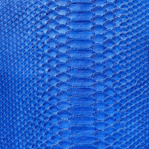 May include: Close-up of a vibrant blue snakeskin pattern. The texture features a repeating scale design with a raised, textured appearance. The color is a bright, saturated blue, creating a bold and eye-catching visual.