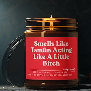 Tamlin Little Bitch Candle ACOTAR Fan Gift ACOMAF A Court of Thorns and Roses Merch Velaris Candle Book Lover Candle