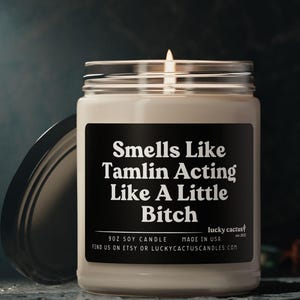 Tamlin Little Bitch Candle ACOTAR Fan Gift ACOMAF A Court of Thorns and Roses Merch Velaris Candle Book Lover Candle