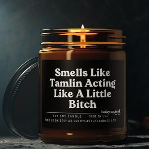 Tamlin Little Bitch Candle ACOTAR Fan Gift ACOMAF A Court of Thorns and Roses Merch Velaris Candle Book Lover Candle