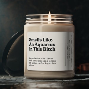 Funny Aquarius Candle, Aquarius Birthday Gift, Aquarius Star Sign Candle, BFF Gift, Zodiac Gift Candle, 9oz Soy Wax Candle