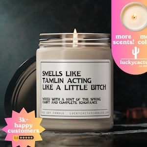 Tamlin&#39;s a Bitch Candle, Acotar fan gift, acomaf, A court of thorns and roses merch, Velaris Candle, Book Lover Candle, 9oz Book Candle