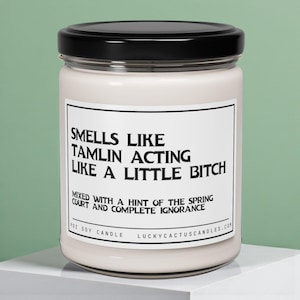 Tamlin's a Bitch Candle, Acotar fan gift, acomaf, A court of thorns and roses merch, Velaris Candle, Book Lover Candle, 9oz Book Candle
