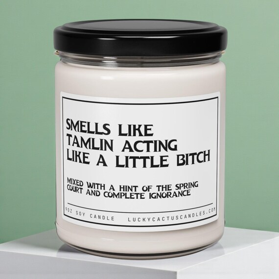 Tamlin's a Bitch Candle, Acotar fan gift, acomaf, A court of thorns and roses merch, Velaris Candle, Book Lover Candle, 9oz Book Candle