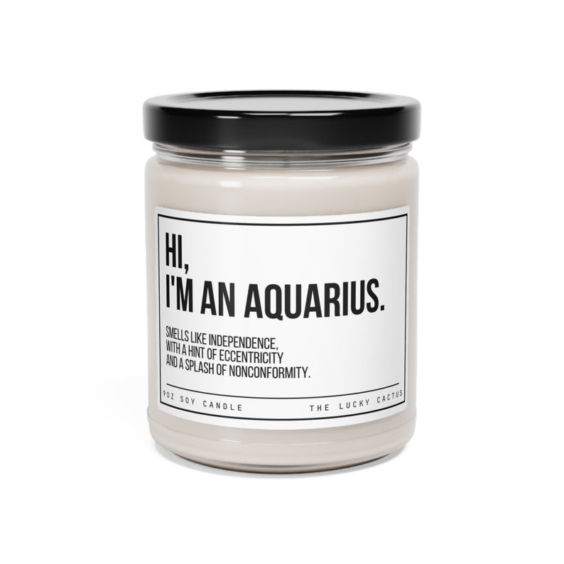 Funny Aquarius Candle, Aquarius Birthday Gift, Aquarius Star Sign Candle, BFF Gift, Zodiac Gift Candle, 9oz Soy Wax Candle image 6