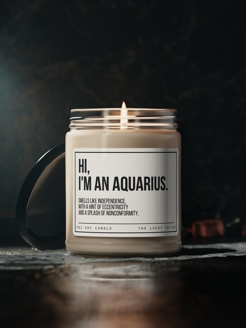 Funny Aquarius Candle, Aquarius Birthday Gift, Aquarius Star Sign Candle, BFF Gift, Zodiac Gift Candle, 9oz Soy Wax Candle image 1