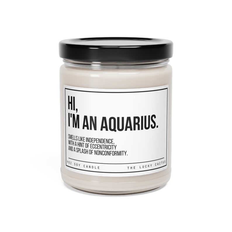 Funny Aquarius Candle, Aquarius Birthday Gift, Aquarius Star Sign Candle, BFF Gift, Zodiac Gift Candle, 9oz Soy Wax Candle image 2