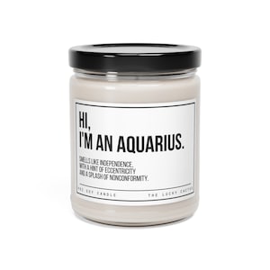 Funny Aquarius Candle, Aquarius Birthday Gift, Aquarius Star Sign Candle, BFF Gift, Zodiac Gift Candle, 9oz Soy Wax Candle image 9