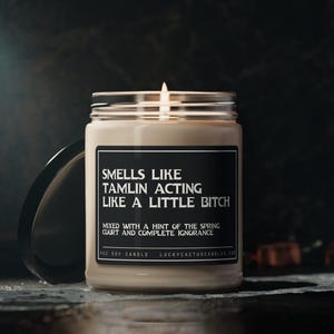 Tamlin&#39;s a Bitch Candle, Acotar fan gift, acomaf, A court of thorns and roses merch, Velaris Candle, Book Lover Candle, Literary Book Candle