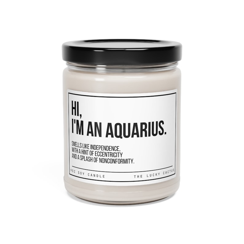 Funny Aquarius Candle, Aquarius Birthday Gift, Aquarius Star Sign Candle, BFF Gift, Zodiac Gift Candle, 9oz Soy Wax Candle image 10