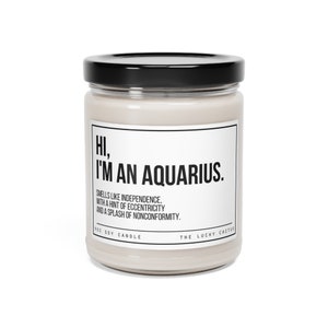 Funny Aquarius Candle, Aquarius Birthday Gift, Aquarius Star Sign Candle, BFF Gift, Zodiac Gift Candle, 9oz Soy Wax Candle image 8