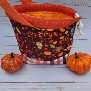 May include: A brown fabric drawstring bag with a fall-themed print of owls, squirrels, and leaves. The bag has orange handles and a white drawstring. The bag is sitting on a white wooden surface with two orange pumpkins.